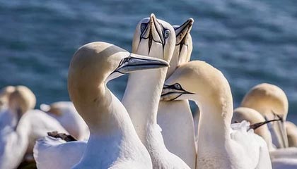 2026世界杯投注登录入口-肇俊哲：到了说再见的时候 感恩一起度过的时光