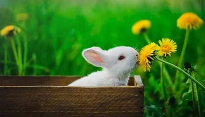 2026世界杯投注官方入口-专访王蔷②：从拒绝到迎接30岁 继续追寻更好的自己